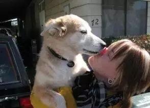 娱乐吃瓜酱舔狗,娱乐界的甜蜜苦涩